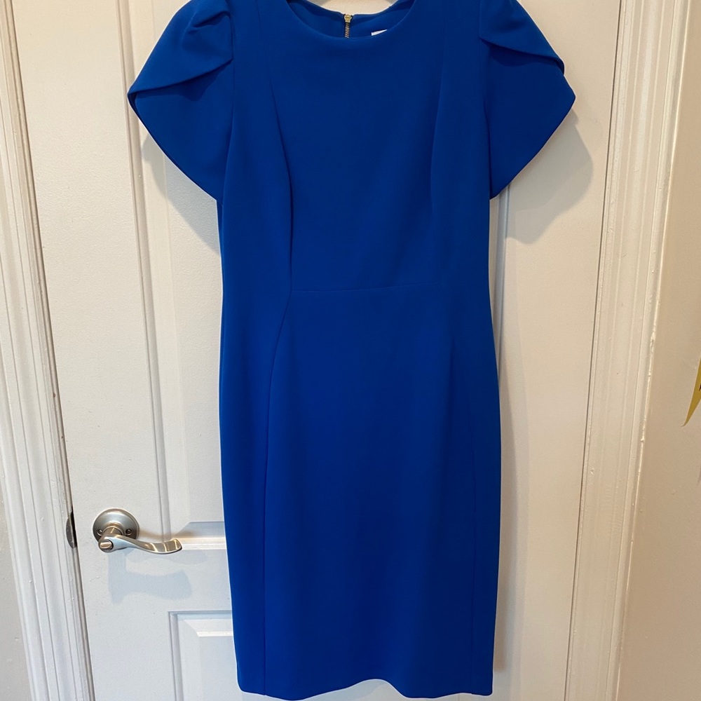 Calvin Klein 6 Blue Sheath Tulip sleeve dress